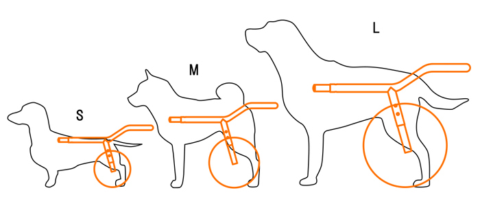 犬用車椅子 Wilmog ウィルモグ 採寸方法