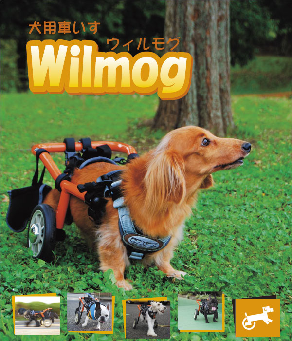 犬用車椅子 Wilmog ウィルモグ オーエックスエンジニアリング
